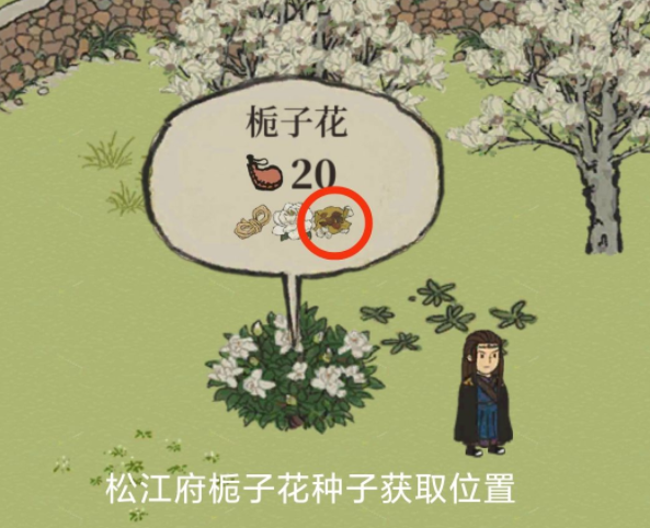 《江南百景图》长相思栀子花种子怎么获得