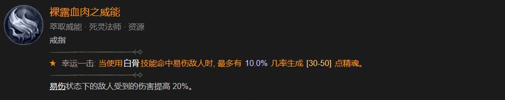 暗黑破坏神4死灵骨矛暗金盾BD攻略图8