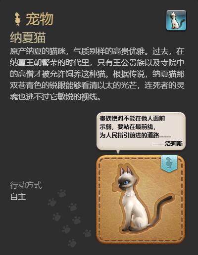 ff14纳夏猫宠物获得方法图4