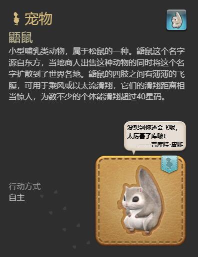 ff14鼯鼠宠物获得方法图3