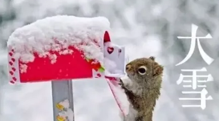 大雪文案大全 大雪文案汇总图1