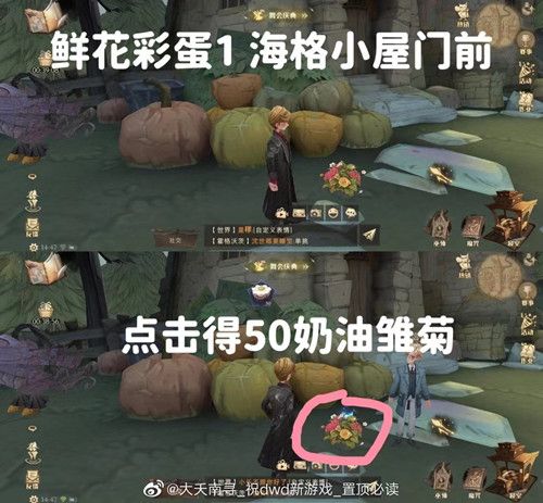 《哈利波特魔法觉醒》6个鲜花彩蛋位置触发方法