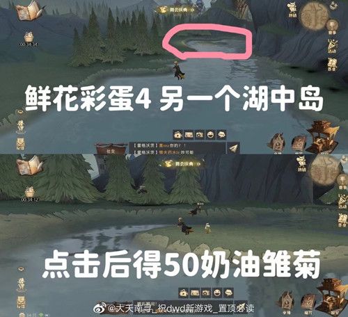 《哈利波特魔法觉醒》6个鲜花彩蛋位置触发方法