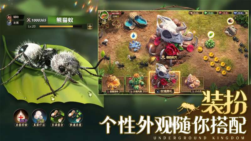 小小蚁国蚁族时代 V1.31.2 安卓版