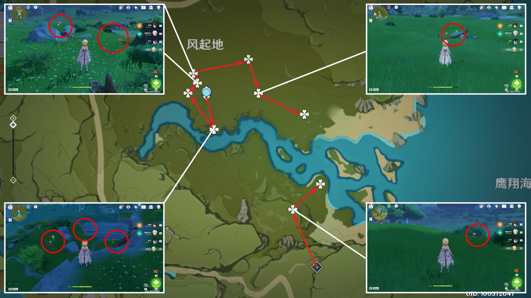 原神风车菊分布图汇总 3.8所有风车菊采集点及收集攻略图2