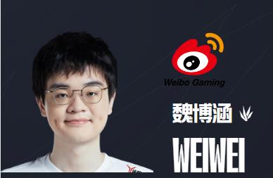 英雄联盟wbg战队成员名单介绍图3