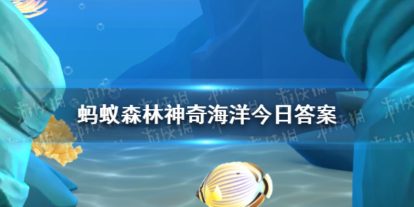 以下哪种海洋鱼类属于软骨鱼 蚂蚁森林神奇海洋今日答案2.4最新图1