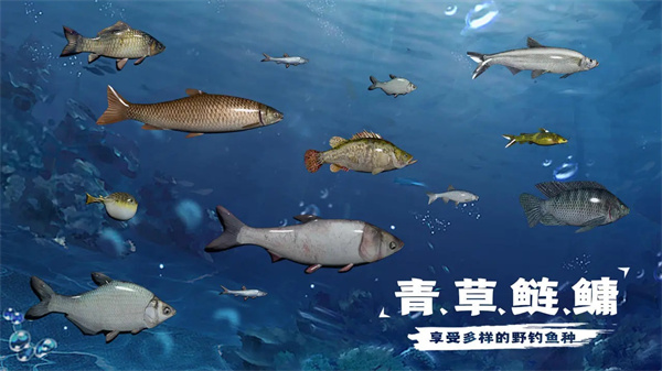 天天钓鱼水族馆收入攻略 水族馆鱼收入计算方法图1