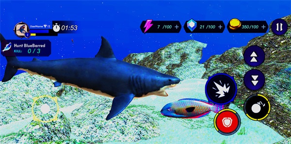 鲨鱼袭击捕食者鱼类图1