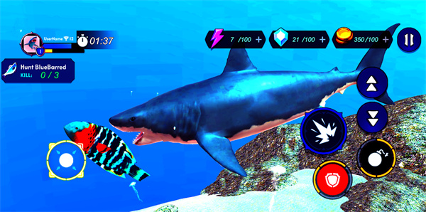 鲨鱼袭击捕食者鱼类图2