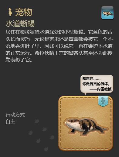 ff14水道蜥蜴获得方法图6