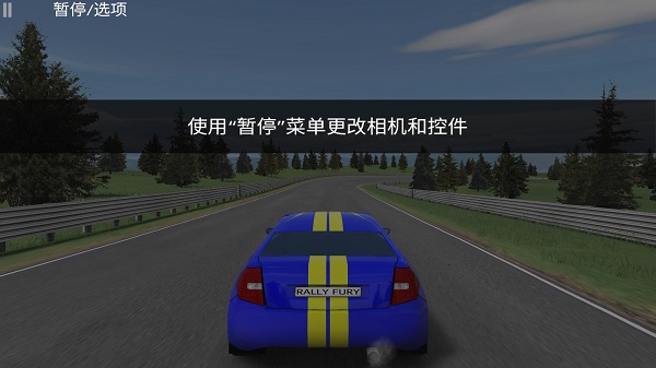 Rally Fury手机版截图2