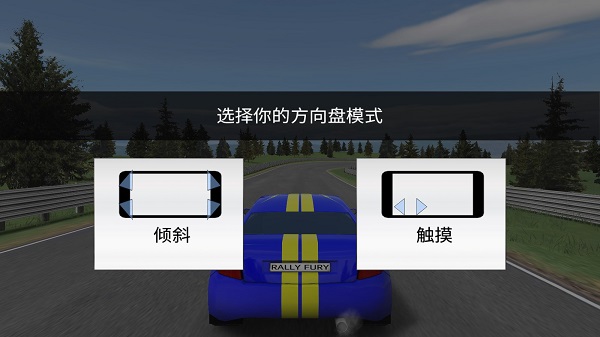 Rally Fury手机版截图3