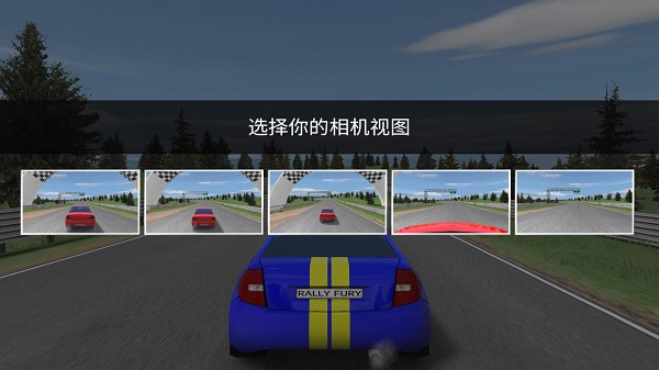 Rally Fury手机版截图4