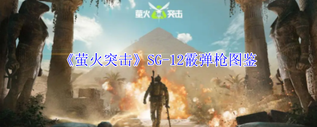 萤火突击SG-12霰弹枪有什么属性 SG-12霰弹枪图鉴图1