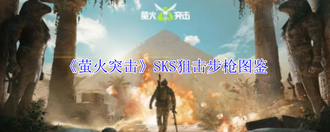 萤火突击SKS狙击步枪有什么属性 SKS狙击步枪图鉴图1